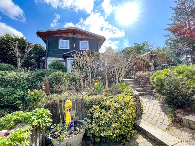 Sonnige Ansicht von Garten und Holzhaus mit gepflastertem Weg